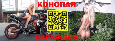 гидра Пенза