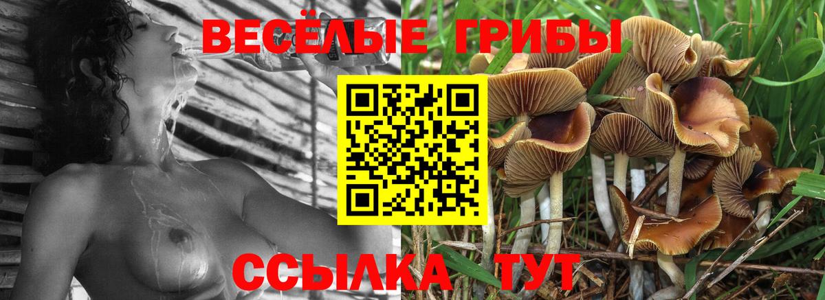 Соликамск  Галлюциногенные грибы GOLDEN TEACHER  Вход с VPN 