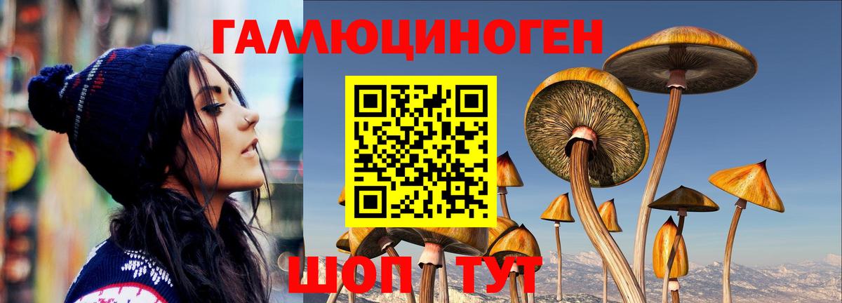 Галлюциногенные грибы Psilocybine cubensis Соликамск